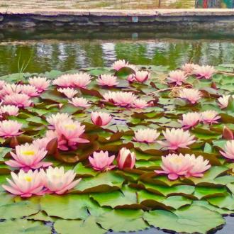 Северный | Фото 10