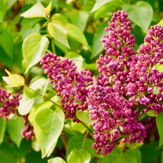 Северный | Фото 11