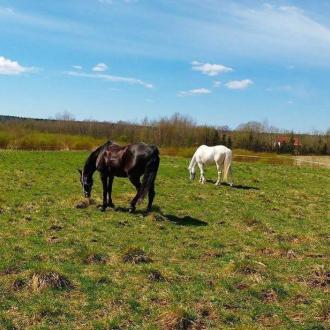 Детский оздоровительный лагерь Град Детинец | Фото 7
