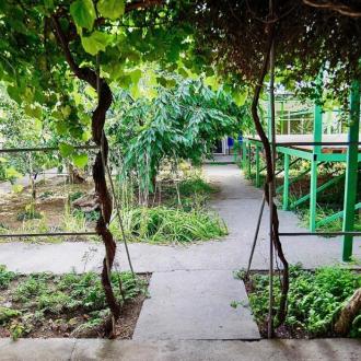 Ясно | Фото 8