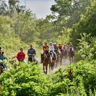 База отдыха Спорт | Фото 11