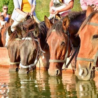 База отдыха Спорт | Фото 12