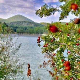 База отдыха Спорт | Фото 28