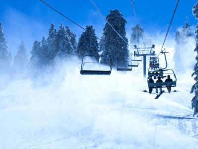 Лесная Империя