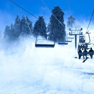 Лесная Империя | Фото 1