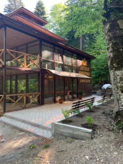 Лесная Империя | Фото 5