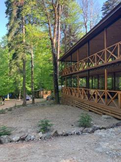 Лесная Империя | Фото 8