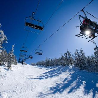 Лесная Империя | Фото 11