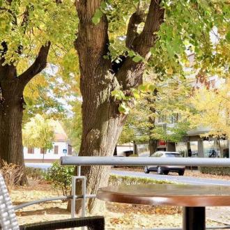 Славонски-Брод | Фото 10