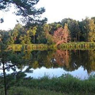 Жемчужина Золотого Кольца | Фото 7