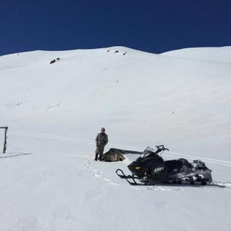 Высота 1440 | Фото 2