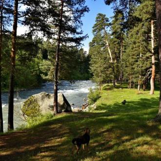 Высота 1440 | Фото 4