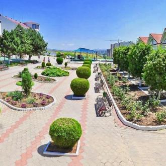 Золотая Линия | Фото 5