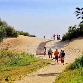 Золотая Линия | Фото 7