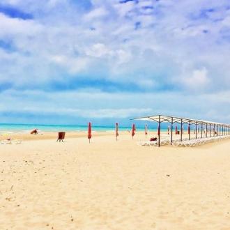 Золотая Линия | Фото 8