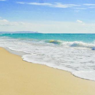 Золотая Линия | Фото 9