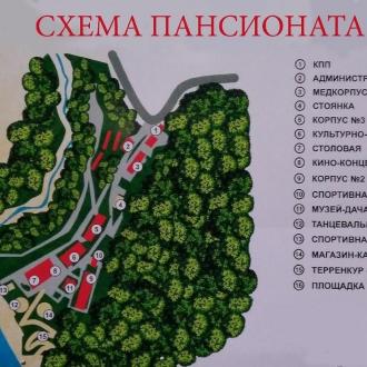 Веселый Дельфин | Фото 13