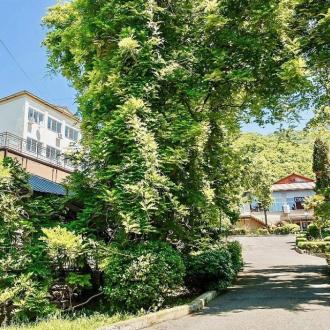 Рассвет | Фото 3