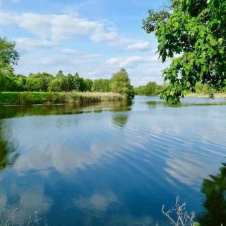 Санаторий Краинка | Фото 21