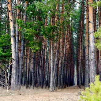 Санаторий Краинка | Фото 22