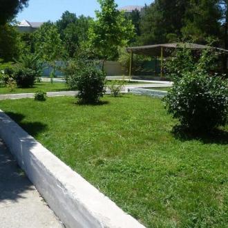 Радость | Фото 4