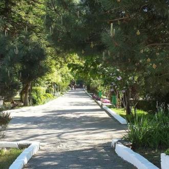 Радость | Фото 12