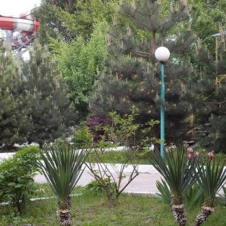 Радость | Фото 16