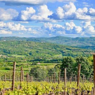 Breza Отель | Фото 12