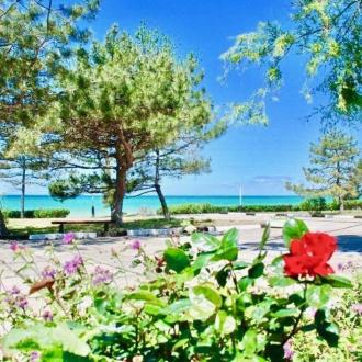 Мультфильм | Фото 5