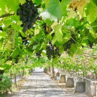 Мультфильм | Фото 6