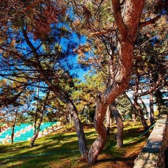 Мультфильм | Фото 7