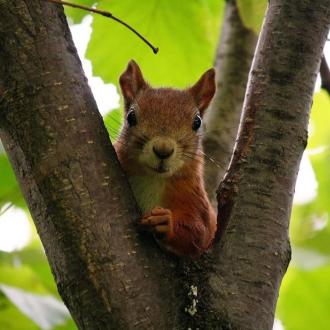 Санаторий Пушкино | Фото 7