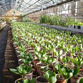 Санаторий Пушкино | Фото 8