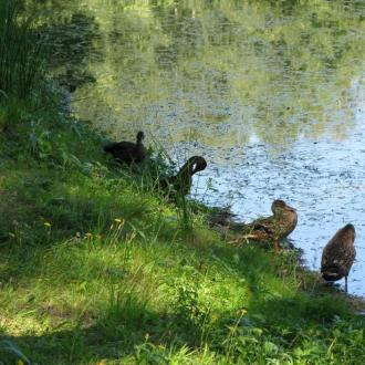 Санаторий Пушкино | Фото 11