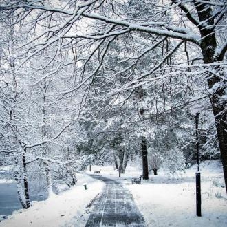 Санаторий Пушкино | Фото 33