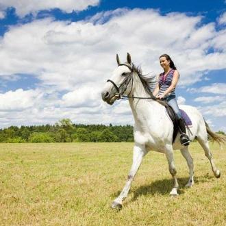 Парк-Отель Огниково | Фото 28