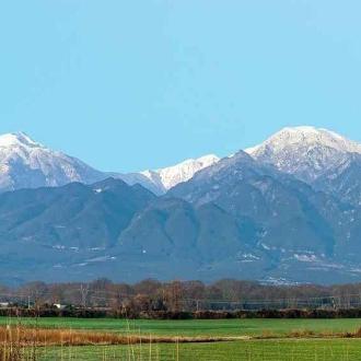 Alexandros Отель | Фото 19