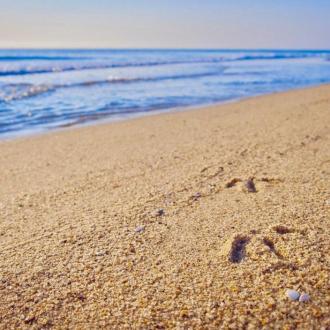 Морские Дюны | Фото 19