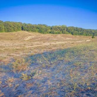 Морские Дюны | Фото 20