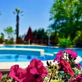 Orfeas Blue | Фото 4