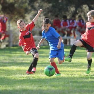 Sportсamp | Фото 28