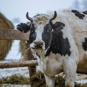 Event-Комплекс Олимп В Подмосковье | Фото 31