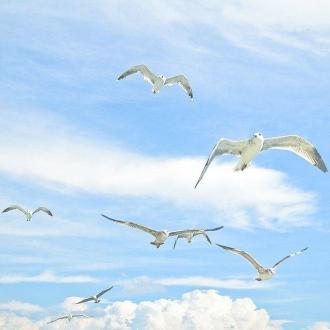 Камчия | Фото 31