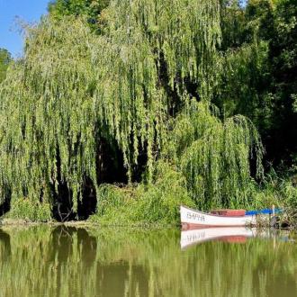 Камчия | Фото 32