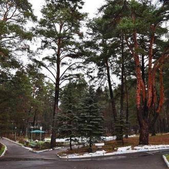 Санаторий Лужки | Фото 2