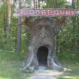 Санаторий Лужки | Фото 7