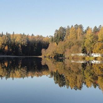 Солнечный | Фото 28