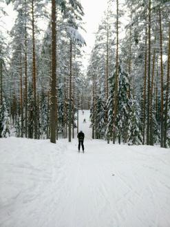 База отдыха Аквамарин | Фото 4