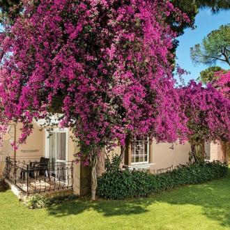 Pine Beach Belek | Фото 23