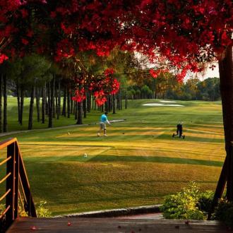 Gloria Verde Resort | Фото 26